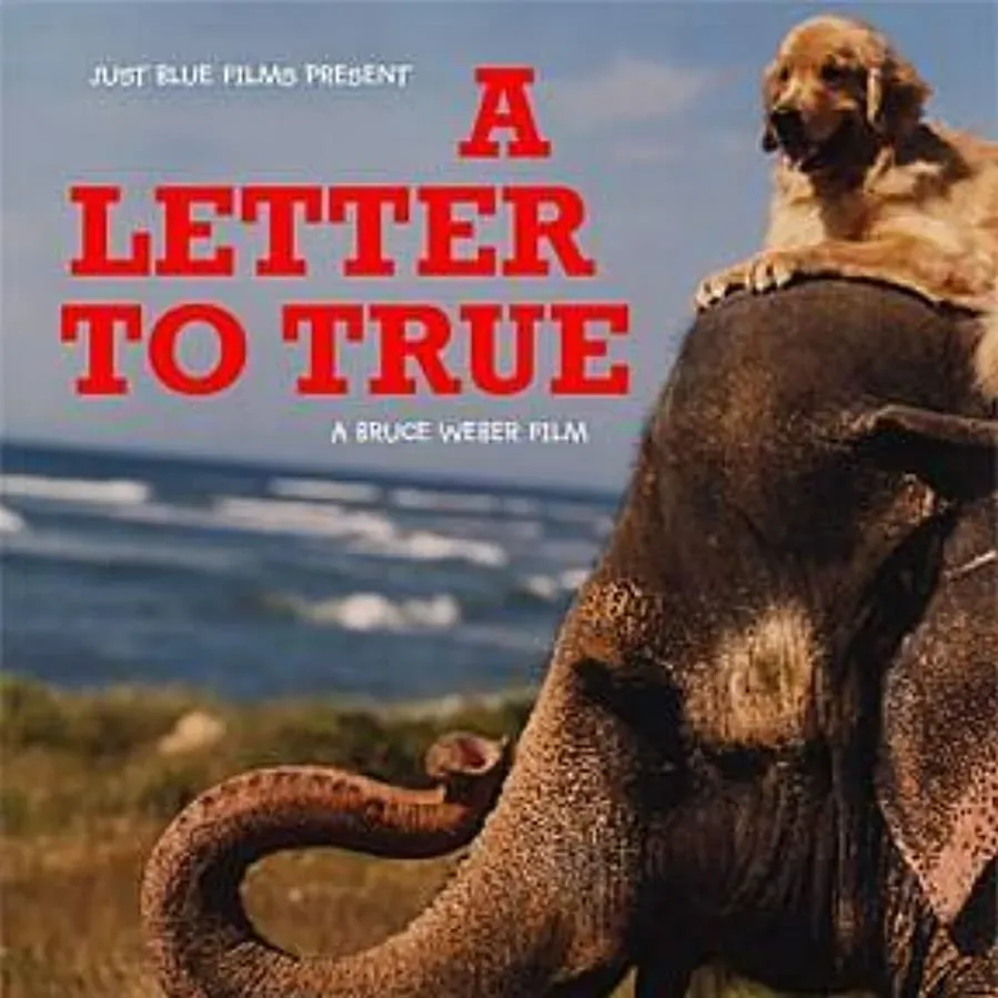 A Letter to True online