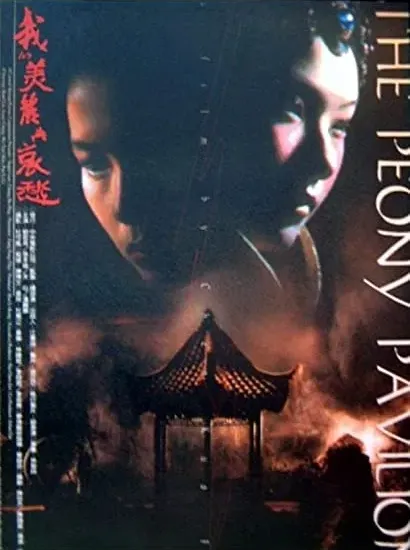 Wo de mei li yu ai chou