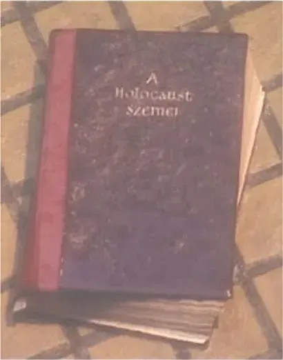 A Holocaust szemei