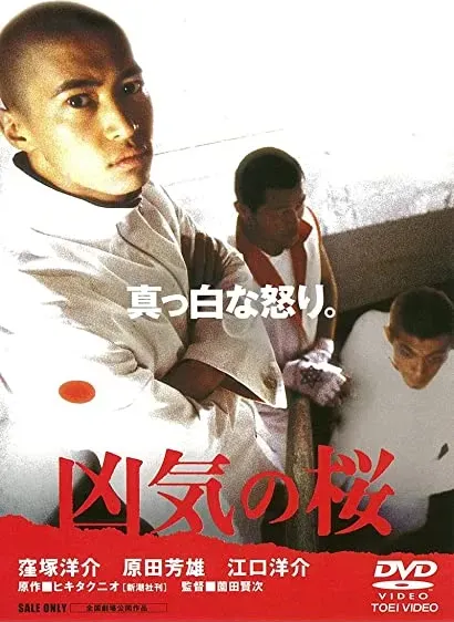 Kyoki no sakura