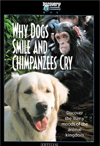 Why Dogs Smile & Chimpanzees Cry