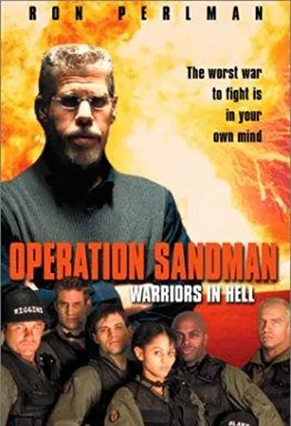 Operation Sandman