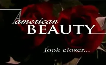 American Beauty: Look Closer...
