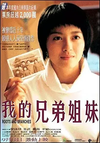 Wo de xiong di jie mei