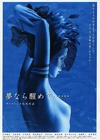 Perfect Blue: Yume Nara Samete