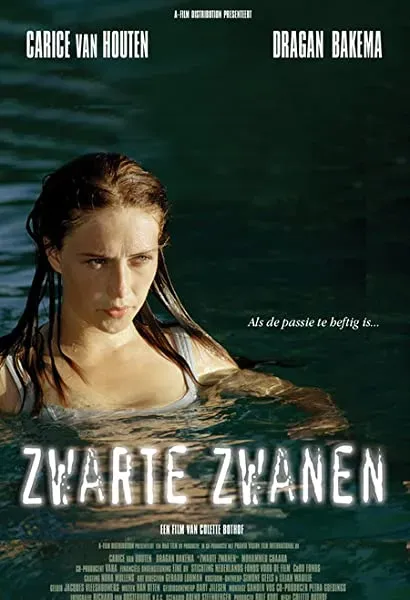 Zwarte zwanen