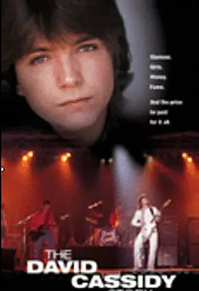 The David Cassidy Story