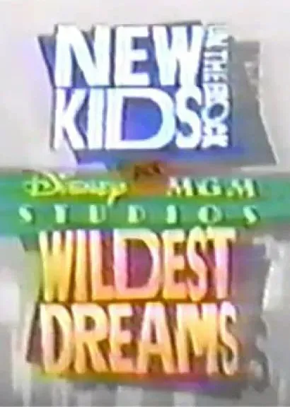 New Kids on the Block at Disney-MGM Studios: Wildest Dreams