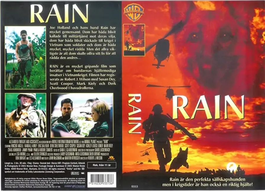 Rain online