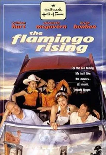 Kino Flamingo