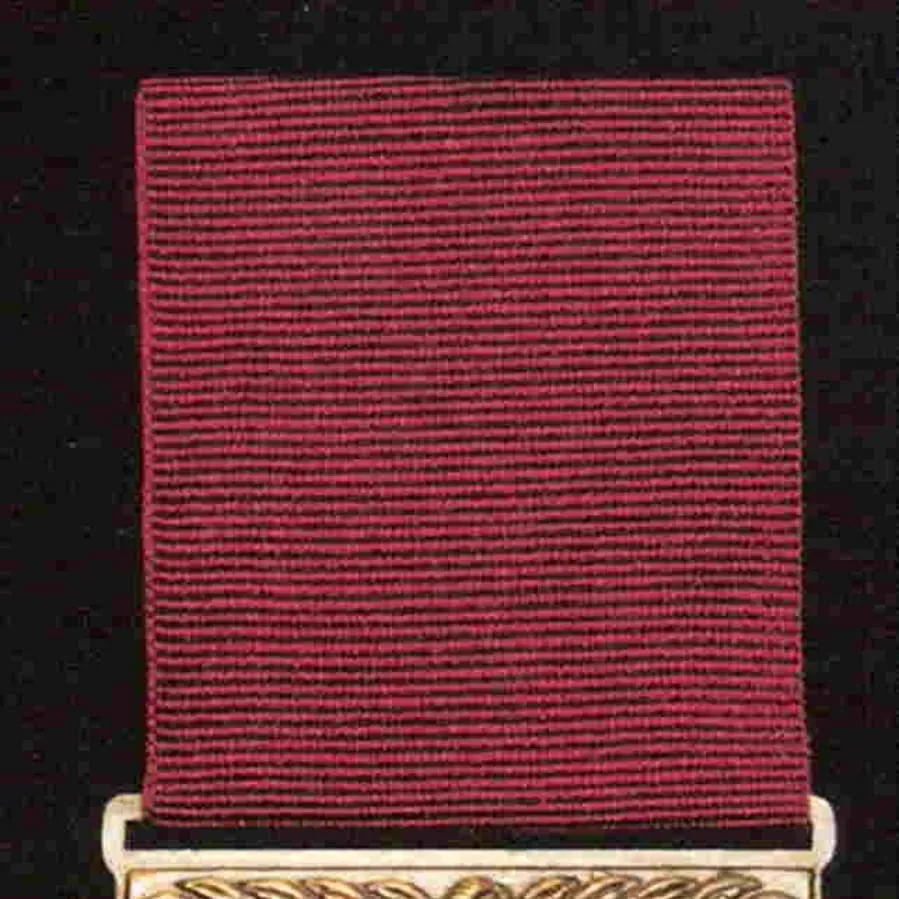 The Victoria Cross: For Valour online