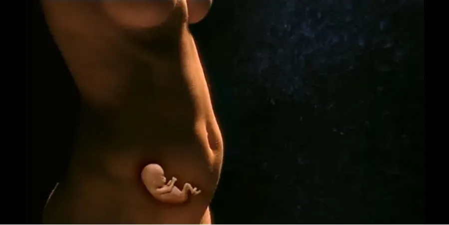 Life Before Birth online