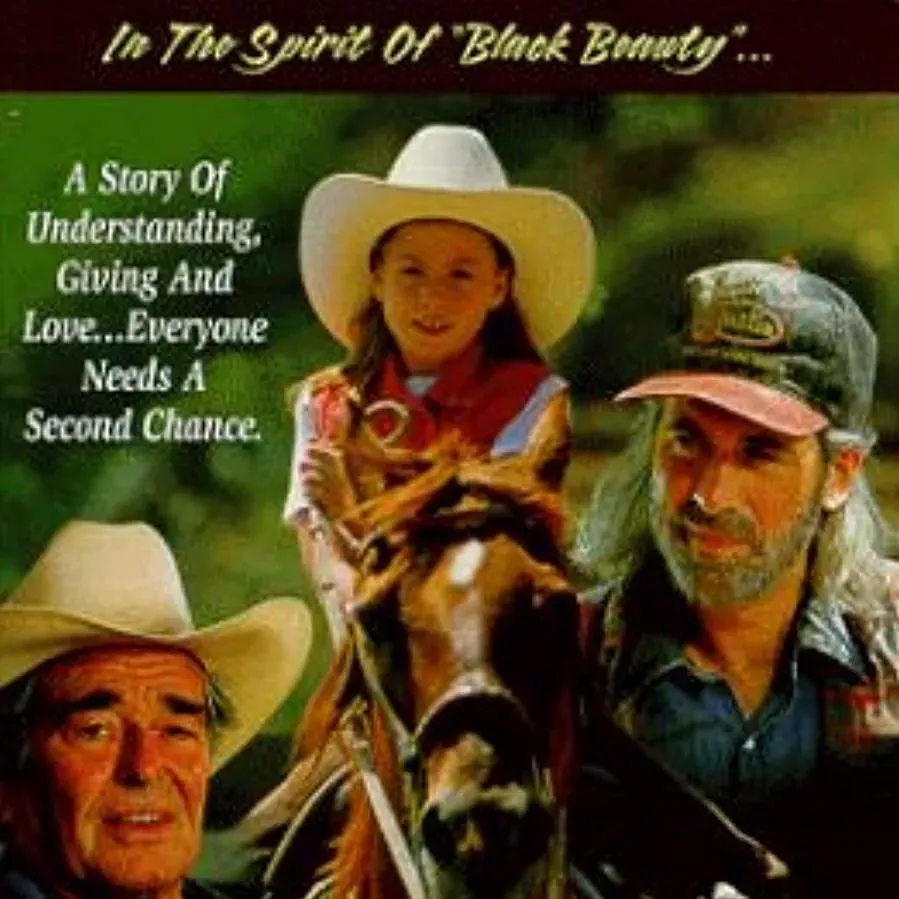 Second Chances online