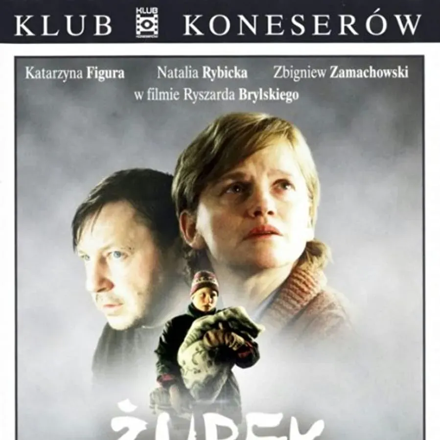 Zurek online