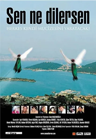 Sen Ne Dilersen