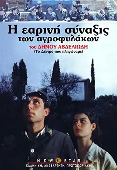 Cztery sezony prawa