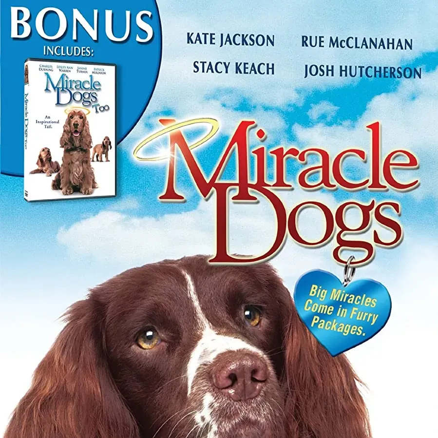Miracle Dogs online