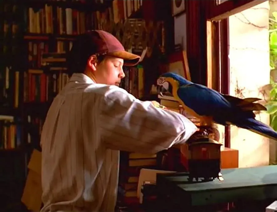 The Real Macaw online
