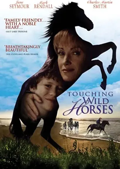 Touching Wild Horses