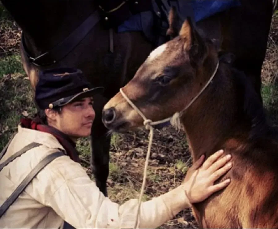 The Colt online