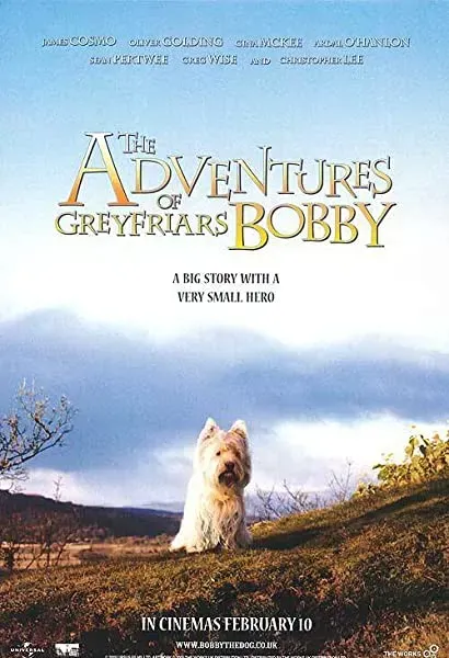 Bobby, bohaterski psiak
