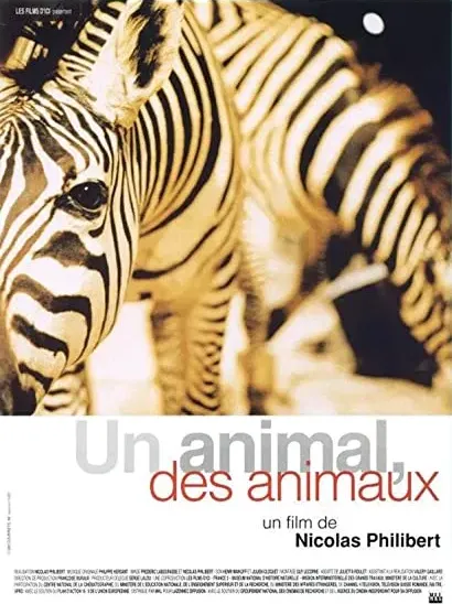 Un animal, des animaux