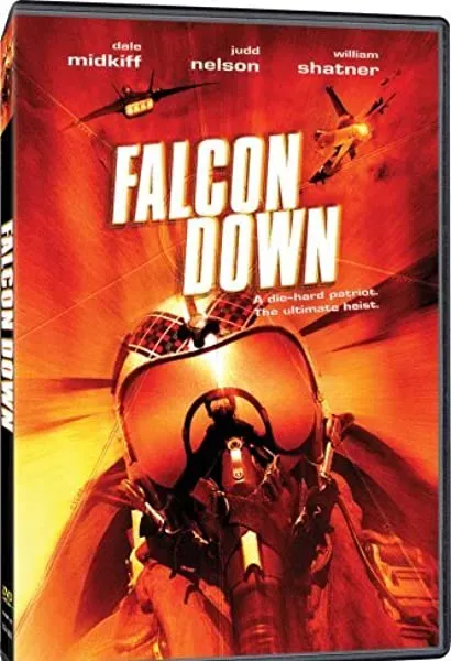 Falcon Down