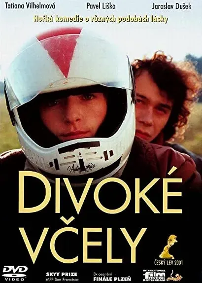 Dzikie pszczoły