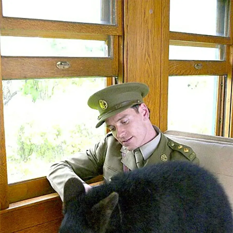 A Bear Named Winnie online