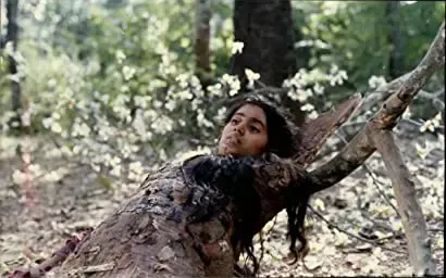 Cheluvi