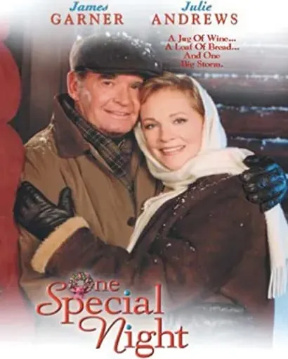 One Special Night