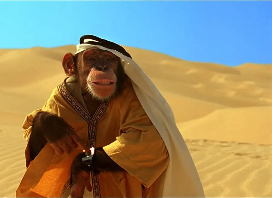 Darmowe filmy