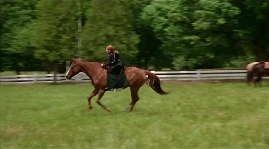 Darmowe filmy