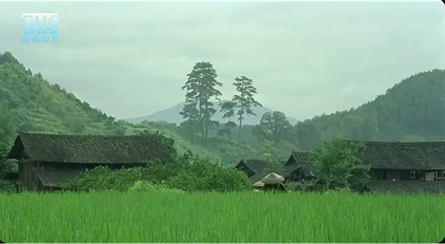 Darmowe filmy