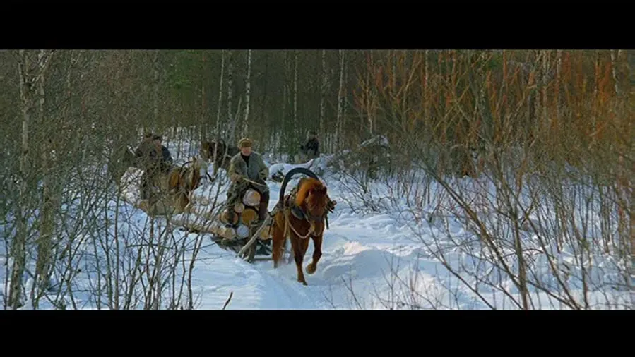 Darmowe filmy