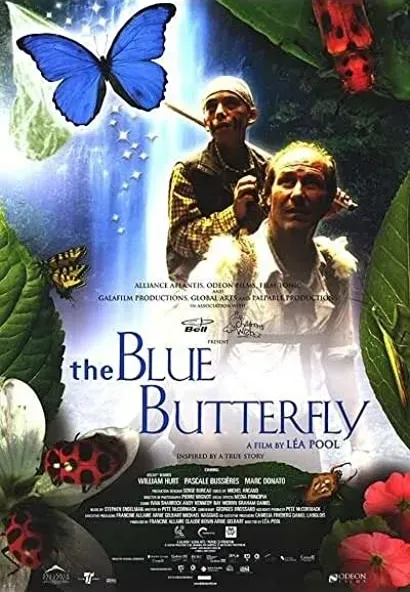 Błękitny motyl