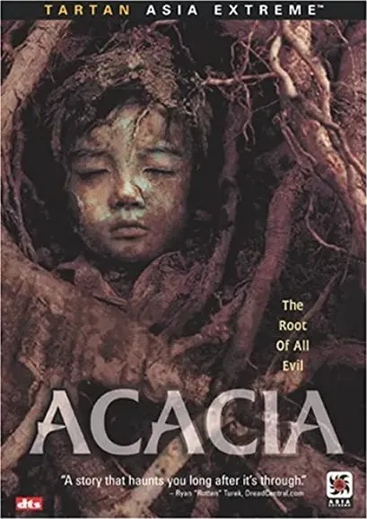 Akacja