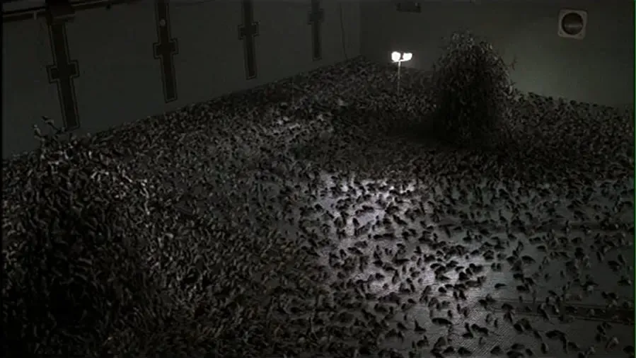 The Rats online