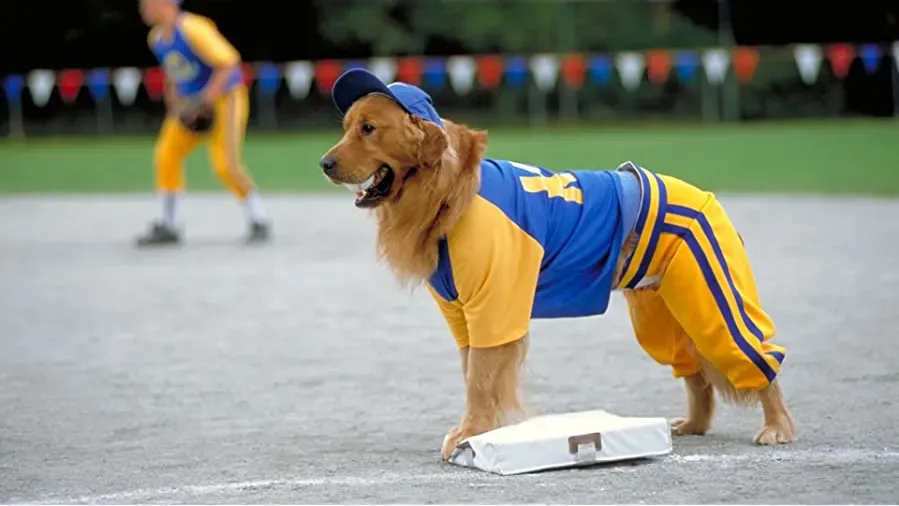 Air Bud: Seventh Inning Fetch online