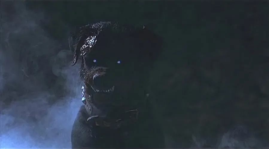 Rottweiler online