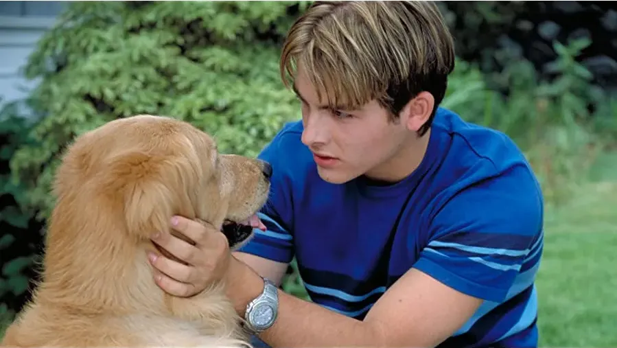 Air Bud 3: World Pup online