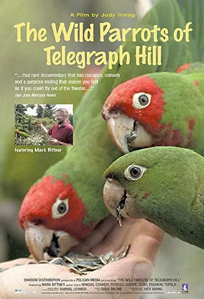 The Wild Parrots of Telegraph Hill