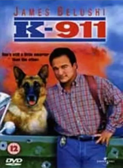 K-911 online