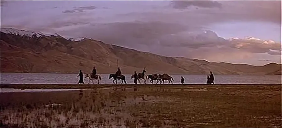 Samsara online