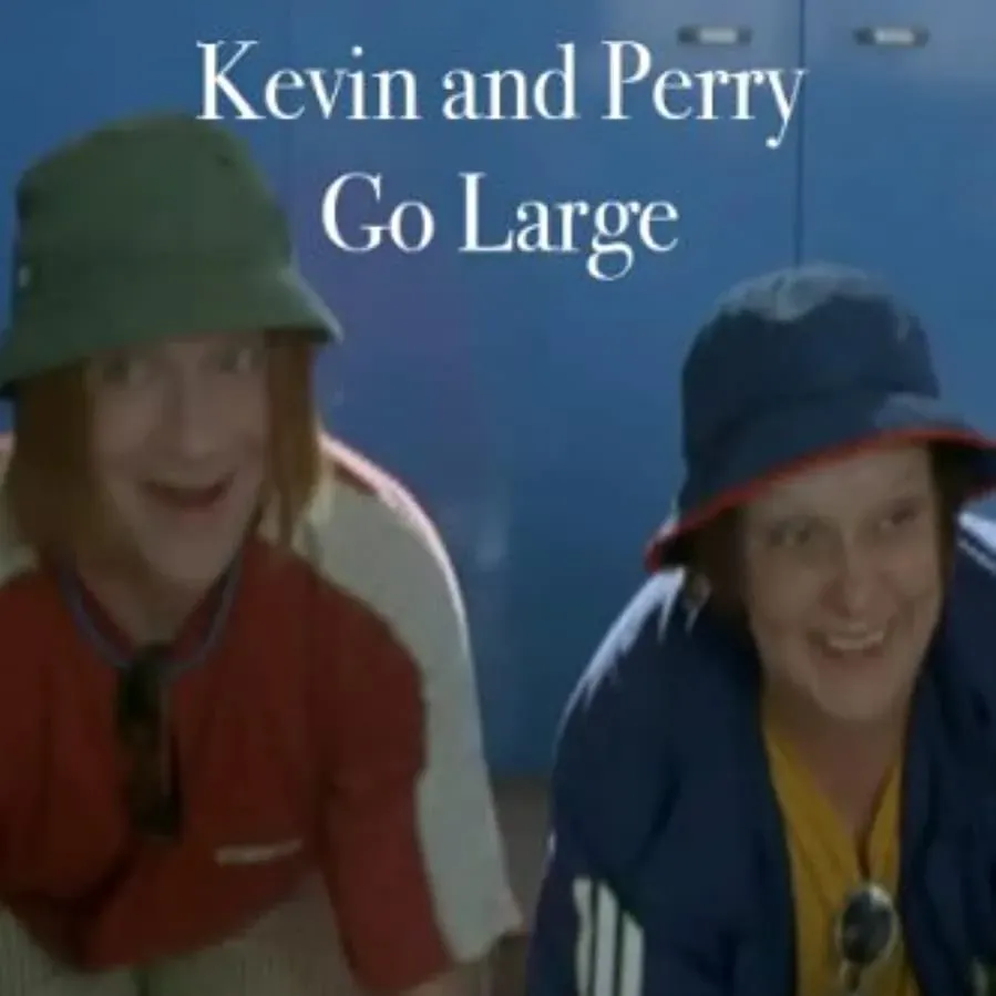 Kevin & Perry Go Large online