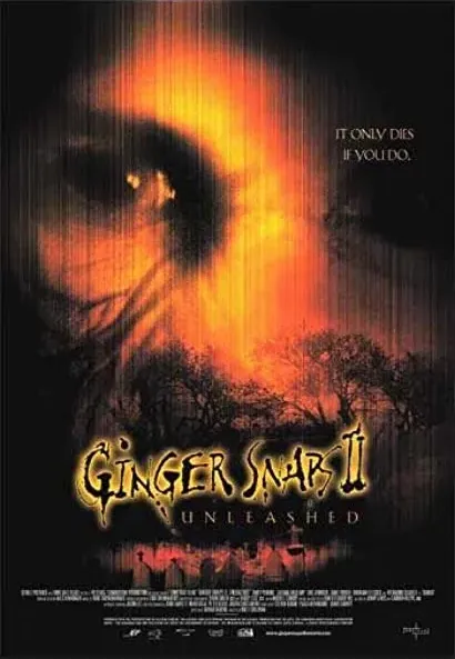 Zdjecia Ginger II