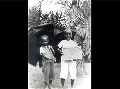 Afrique, je te plumerai
