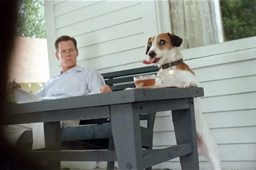 My Dog Skip online