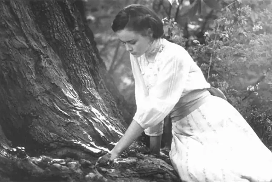 Tuck Everlasting online