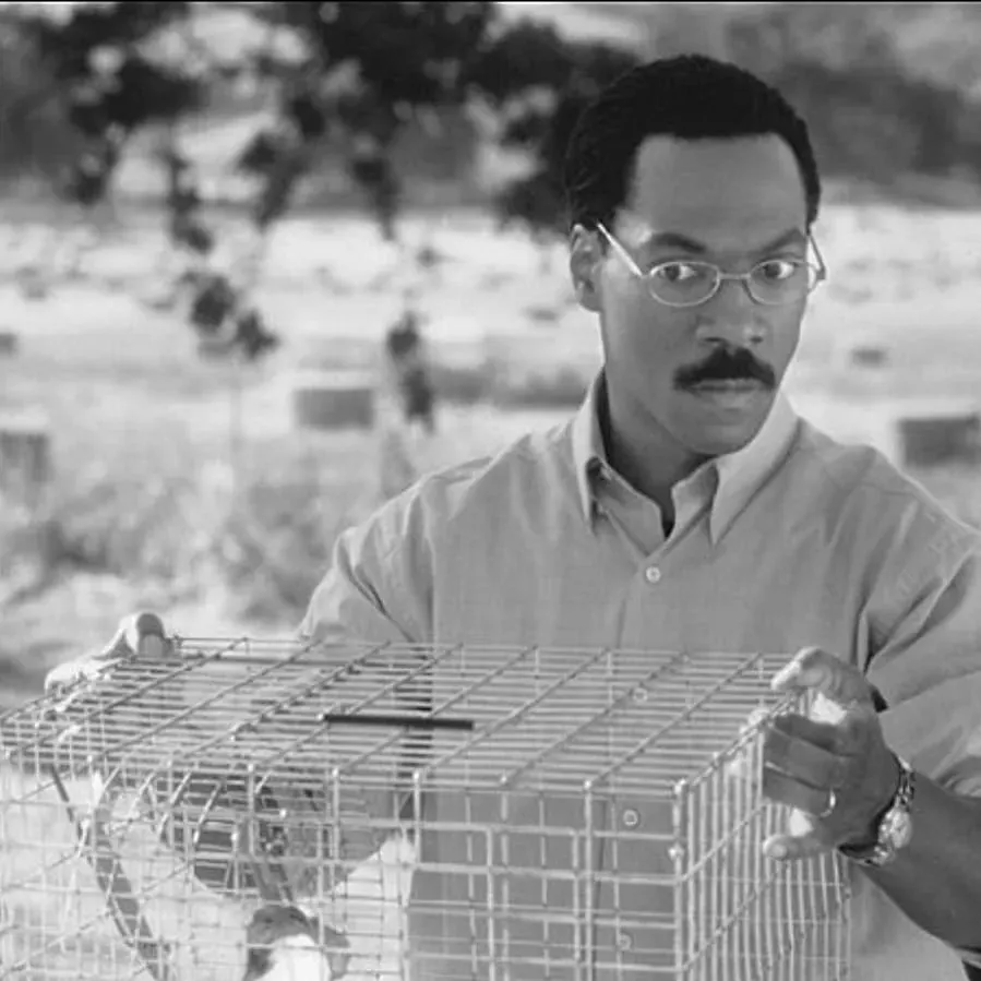 Doctor Dolittle online